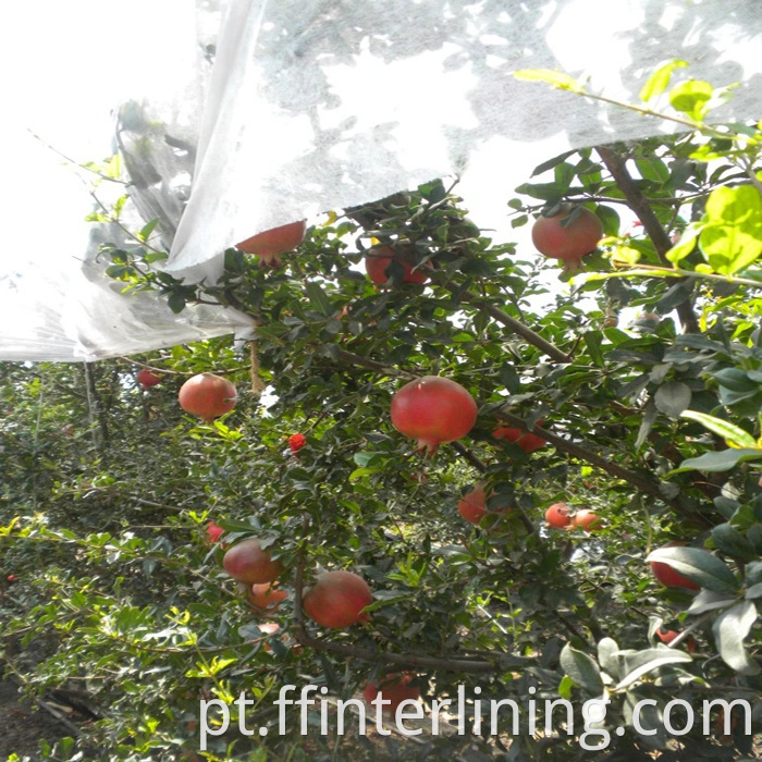 Atacado tecido não tecido para pano de jardim polipropileno tecido de tecido de tecido cobre tecido de proteção de geada